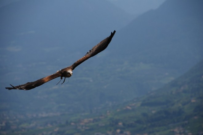 paul txt 9 jehan lockefeer