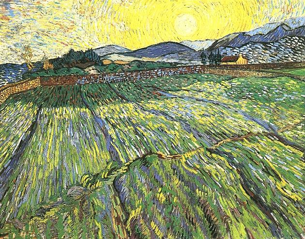 van gogh ommuurd veld