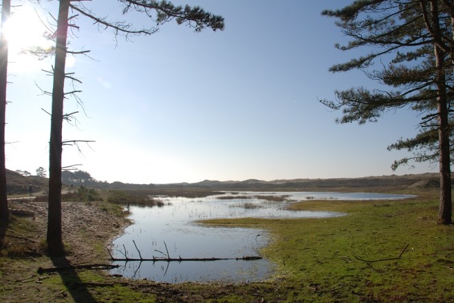 paul txt 28 jehan lockefeer