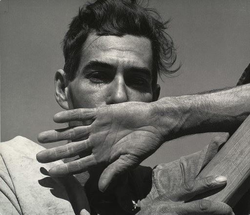 dorothea lange, migratory cotton picker